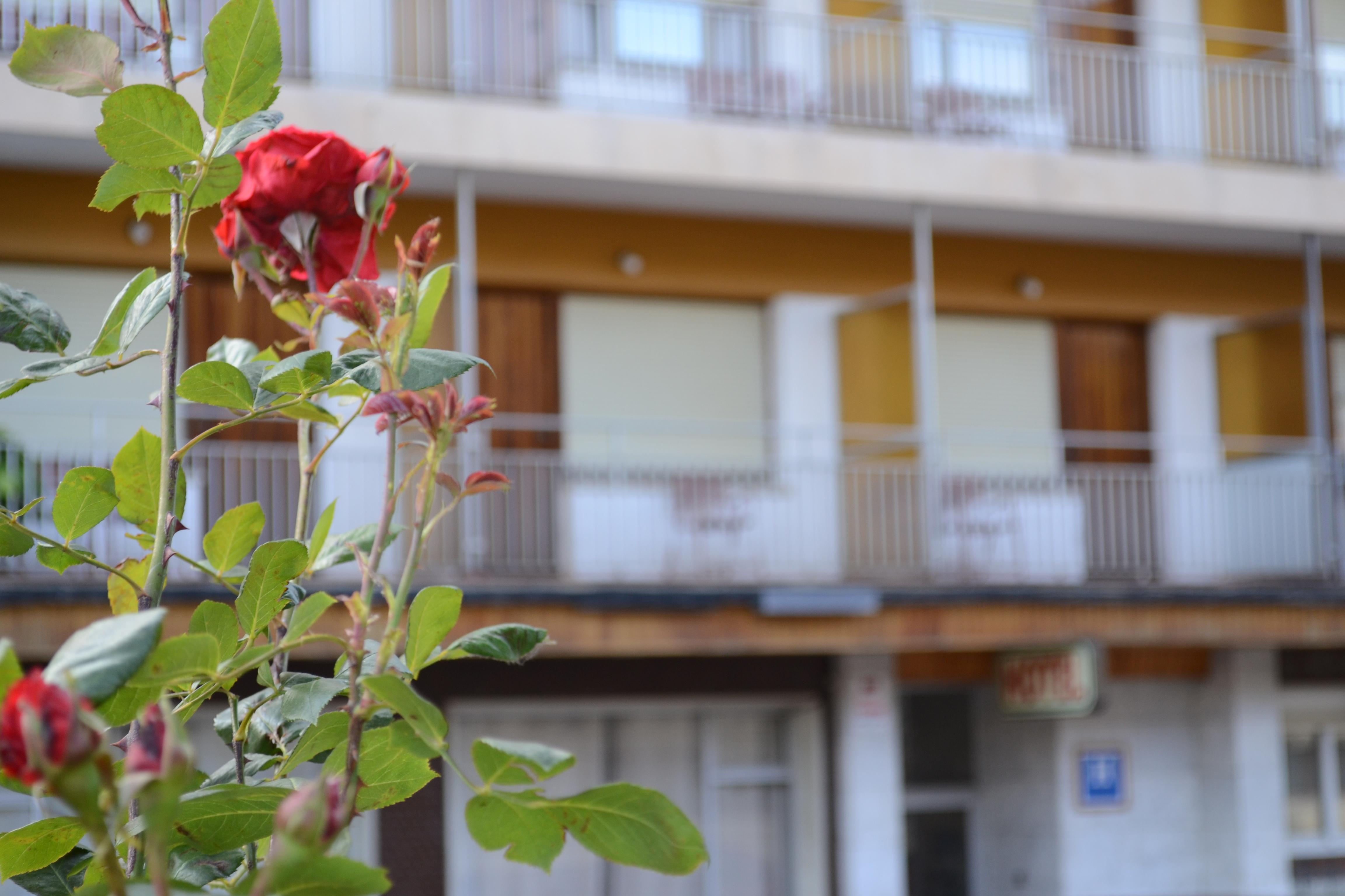 Hotel Mi Casa Sabiñánigo Exteriér fotografie